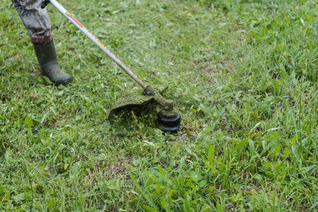 Cleaning of the territory. A man mows the grass with a trimmer. Clean up the street. Mow the grass....