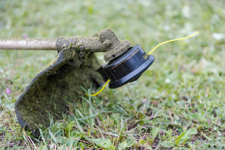 Trimmer close-up. Tool for cleaning the territory. Mow the grass in the area. Trimmer line. Trimmer...