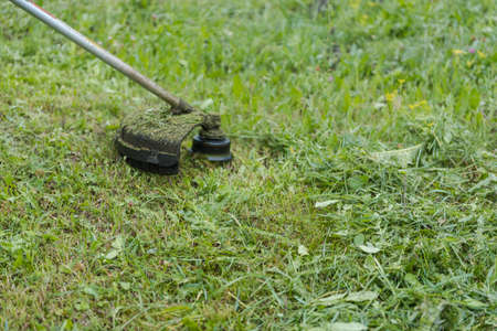 Cut the grass with a trimmer. Cut off the grass. Cut the lawn. Male labor. Outdoor work. Cut the grass with the device. Occupationの写真素材