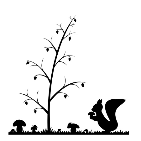 Autumn in forest のイラスト素材