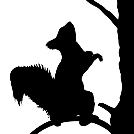 Squirrel on the tree のイラスト素材