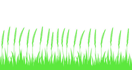 Seamless green grass and ears のイラスト素材