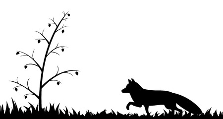 Silhouette of fox in the grass.のイラスト素材