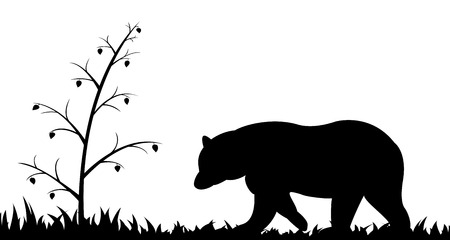 Silhouette of bear in the grass.のイラスト素材