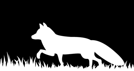 Vector illustration of a silhouette of a fox in the grass.のイラスト素材