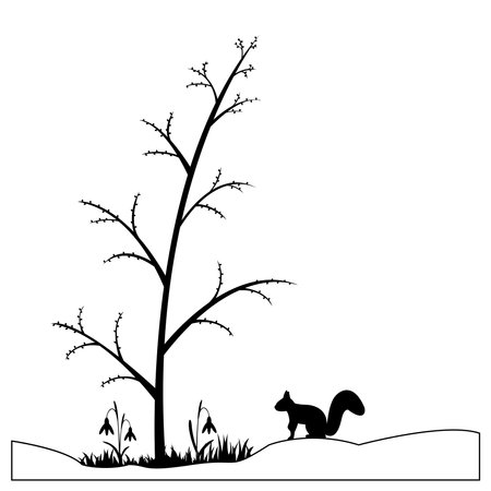 Squirrel silhouette in the spring forest. Vector illustration.のイラスト素材