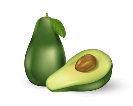 Realistic fresh fruit avocado isolated on white. Whole and cut in half avocado with seed and green leaf. Vector illustration.のイラスト素材