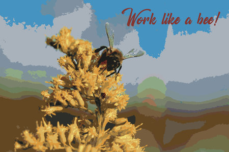 Bee on a yellow flower. vector illustration. The inscription on the background of nature.