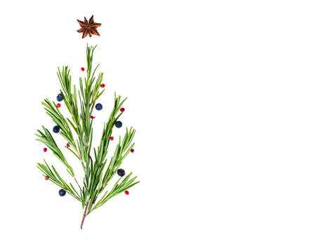 Food Christmas background with green Rosemary twigs as Christmas tree, badian as Christmas star. Christmas cookingの写真素材
