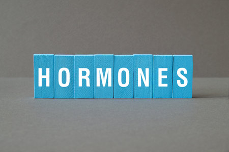 Hormones - word concept on building blocks, text, lettersの写真素材