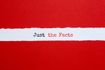 Just the facts - word concept on building blocks, text, letters