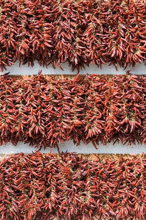 Rows of dried red hot chili pepper as a decor on the white wall backgroundの写真素材