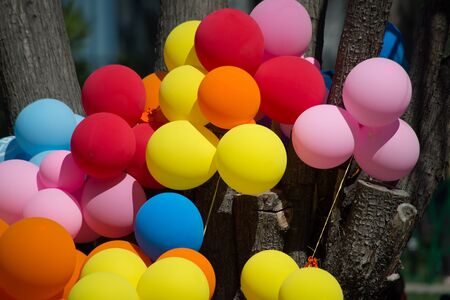 Various colored balloonsの写真素材
