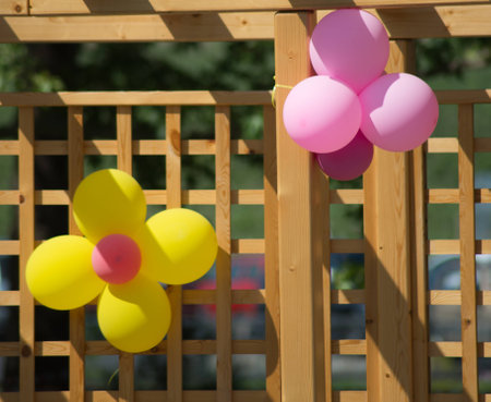 Various colored balloonsの写真素材