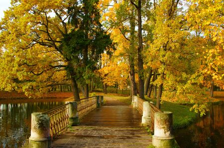 Clear autumn day in the Alexander Park in Tsarskoye Seloの写真素材
