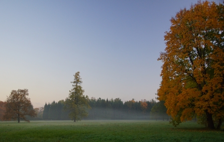 Misty autumn morning in Catherine park in Tsarskoye Seloの写真素材