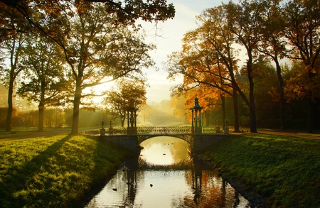 Misty autumn morning in Alexandrovsky Park in Tsarskoye Seloの写真素材