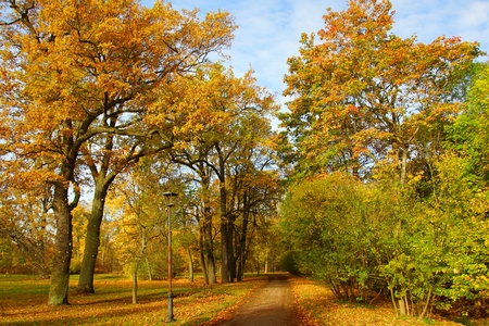 Autumn morning in Alexandrovsky Park in Tsarskoye Seloの写真素材