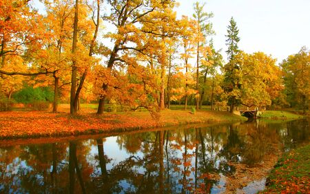 Autumn morning in Alexandrovsky Park in Tsarskoye Seloの写真素材