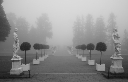 Foggy morning in the Catherine park in Tsarskoye Seloのeditorial素材