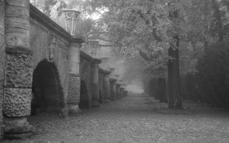 Misty autumn morning in the Catherine park in Tsarskoye Seloの写真素材