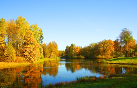 Autumn landscape in Alexander Park in Tsarskoye Seloの写真素材