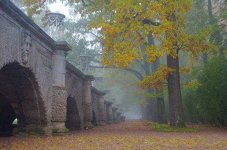 Misty autumn morning in the Catherine park in Tsarskoye Seloのeditorial素材
