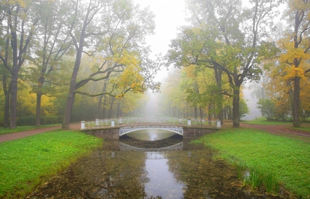 Foggy morning in Alexandrovsky Park in Tsarskoye Seloの写真素材