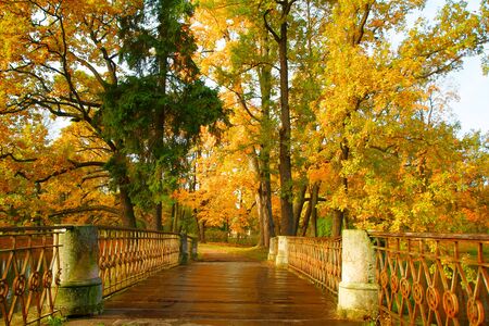 Clear autumn day in the Alexander Park in Tsarskoye Seloの写真素材