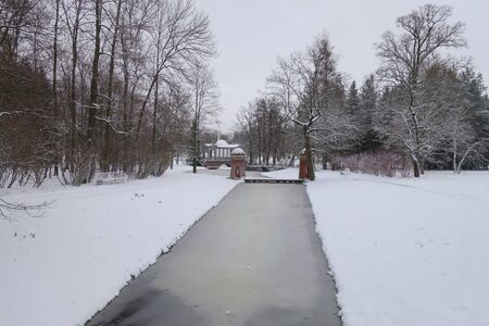 Red or Turkish stage in Catherine Park, snowy day in Novemberの写真素材