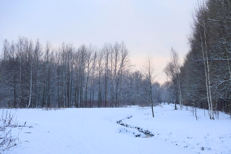 Winter evening in Babolovskiy Park in Tsarskoye Seloの写真素材