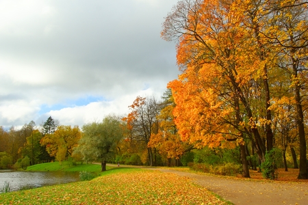 Autumn morning in Alexandrovsky Park in Tsarskoye Seloの写真素材