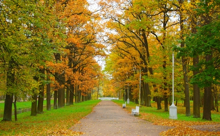 Autumn in the Alexander Park in Tsarskoye Seloの写真素材