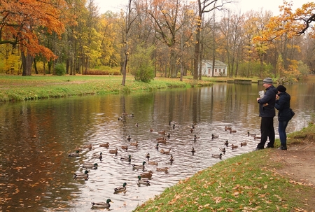 Sad autumn landscape. Children's House on an island in the Alexander Park in Tsarskoye Seloのeditorial素材