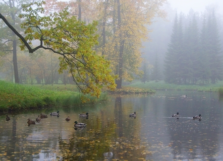 Misty autumn morning in Catherine Park in Tsarskoe Seloの写真素材