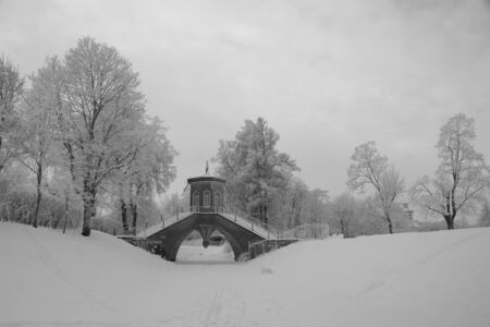 Frosty winter morning in Alexandrovsky Park in Tsarskoye Selo               の写真素材