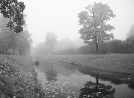 Autumn foggy morning in the Alexander Park in Tsarskoe Seloの写真素材