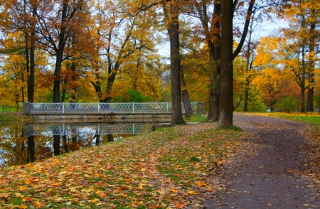 Autumn evening at the Alexander Park in Tsarskoye Seloの写真素材