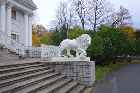 Autumn evening in the park on Elagin Islandの写真素材
