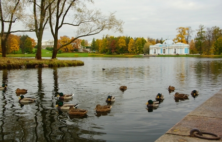 Morning in October, walk through the Catherine Park in Tsarskoye Selo, the Grotto Pavilion and the Great Pondのeditorial素材