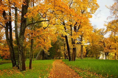 Walk and autumn morning in Catherine Park in Tsarskoe Seloのeditorial素材