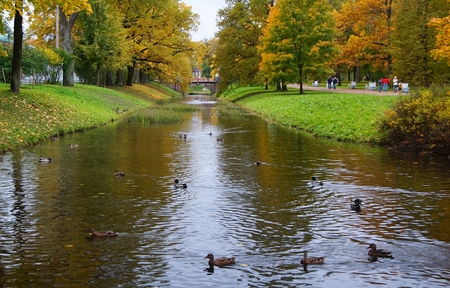 Autumn day in the Alexander Park in Tsarskoye Selo, ducks in the waterのeditorial素材