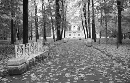 Autumn walk in Catherine Park, morning in Tsarskoye Selo, Pavilion Hermitageの写真素材