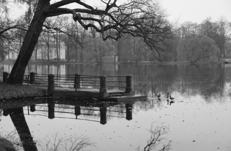 Cold November morning in Catherine Park in Tsarskoe Seloの写真素材