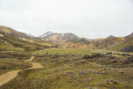A cool summer Icelandic morning and a new hike in the colored mountains of the Landmannalaugar Natural Parkの写真素材