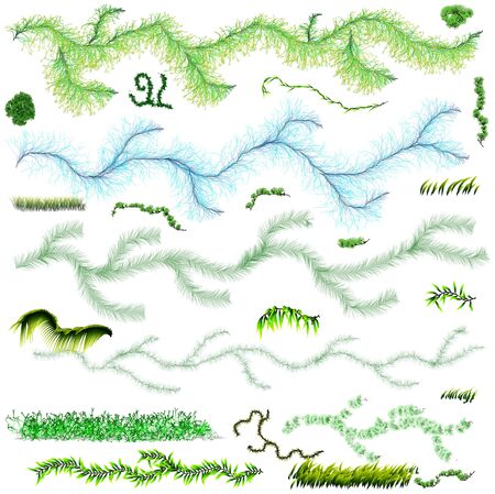 pine branches and grass on a white background the elements of plant designの写真素材