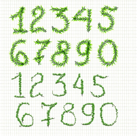 numbers of plants on a checkered backgroundの写真素材