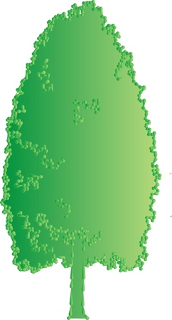 green tree on a white background for designの写真素材