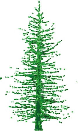 green tree on a white background for designの写真素材