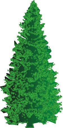 green tree on a white background for designの写真素材